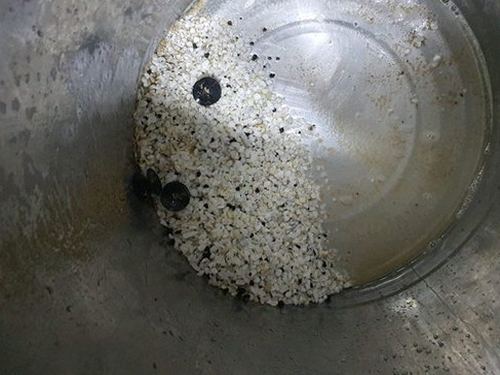 안산시 하수구막힘 정화조 넘침 반복된 역류, 원인은 어디에